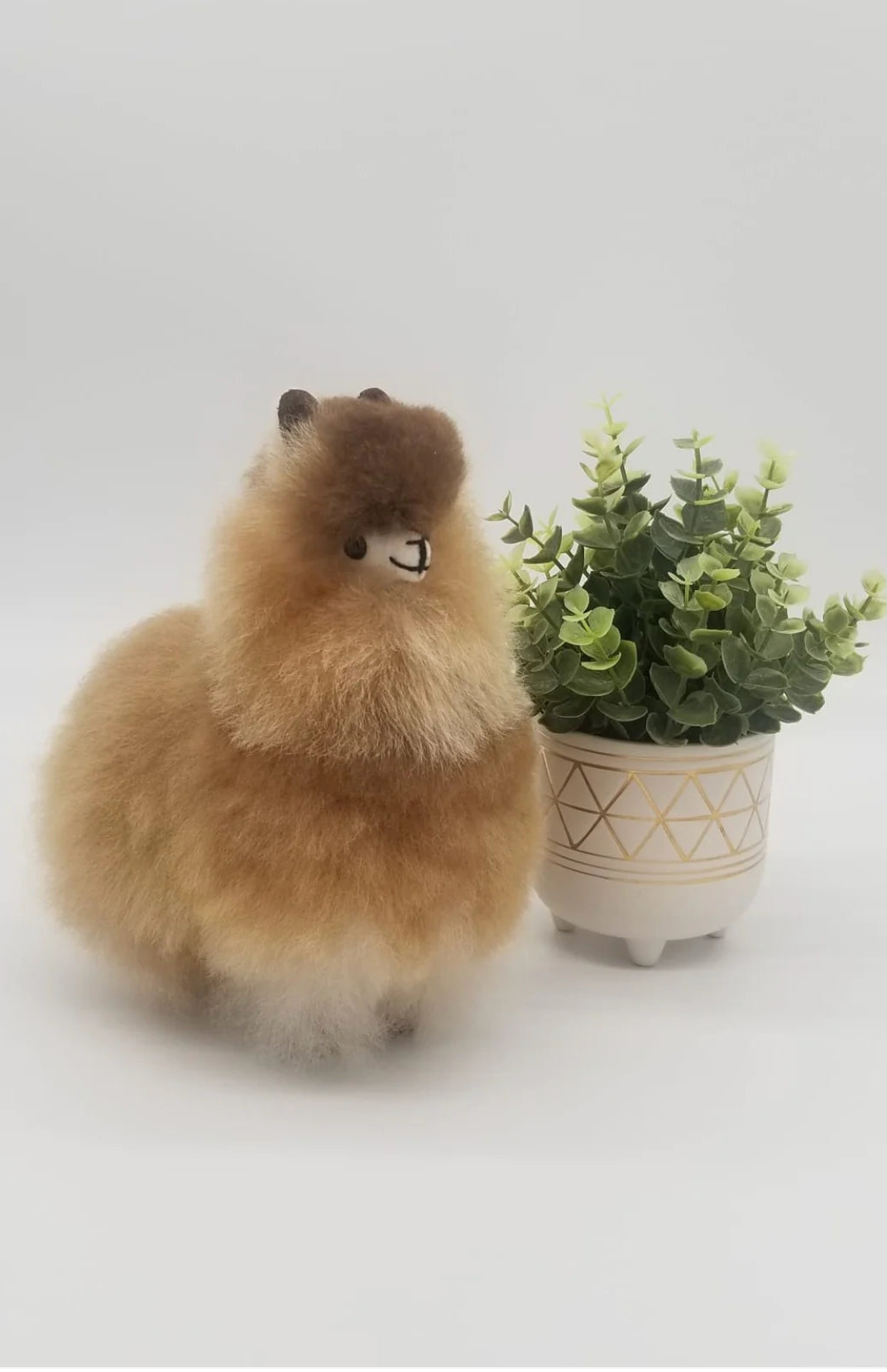 Stuffed Animals
