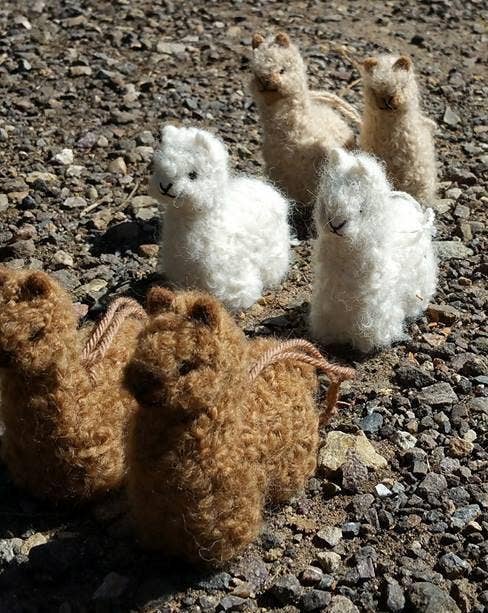 Hand-sculpted baby alpaca Alpacadorable ornament, 3 inches tall — view 9