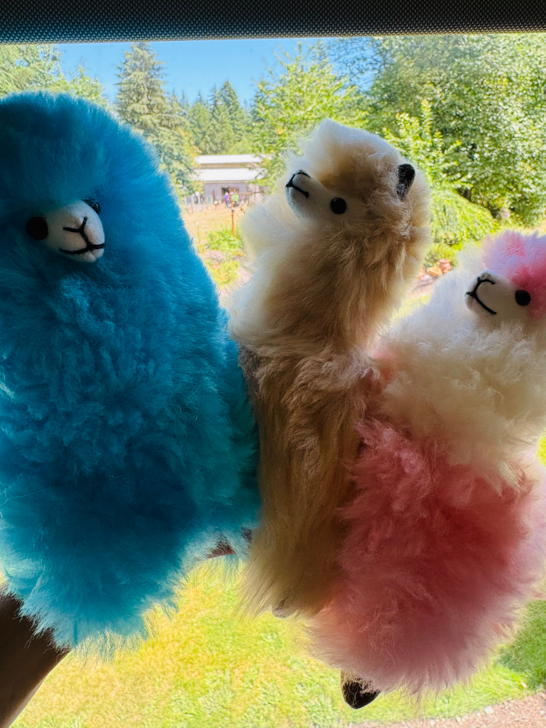 Large Alpaca Stuffie