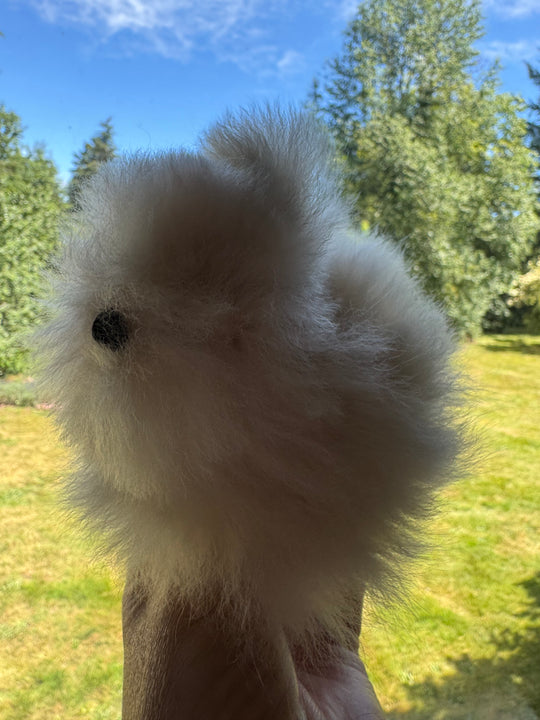 Pip the Baby Bunny – 5" Mini Alpaca Stuffie
