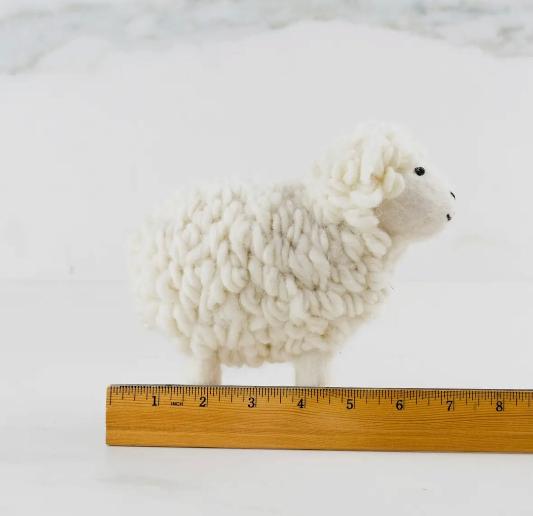 Wooly White Sheep