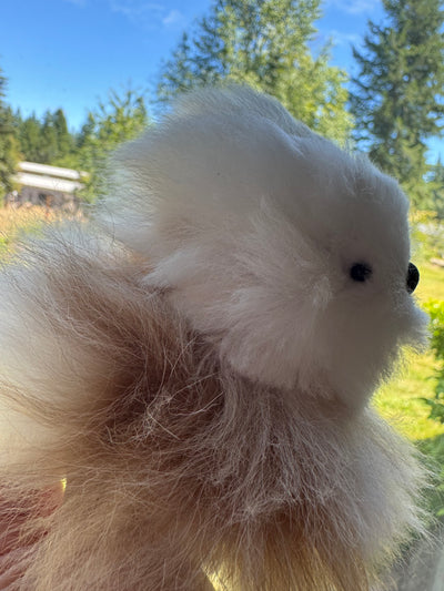 Baby Mini Bunny Alpaca Stuffy