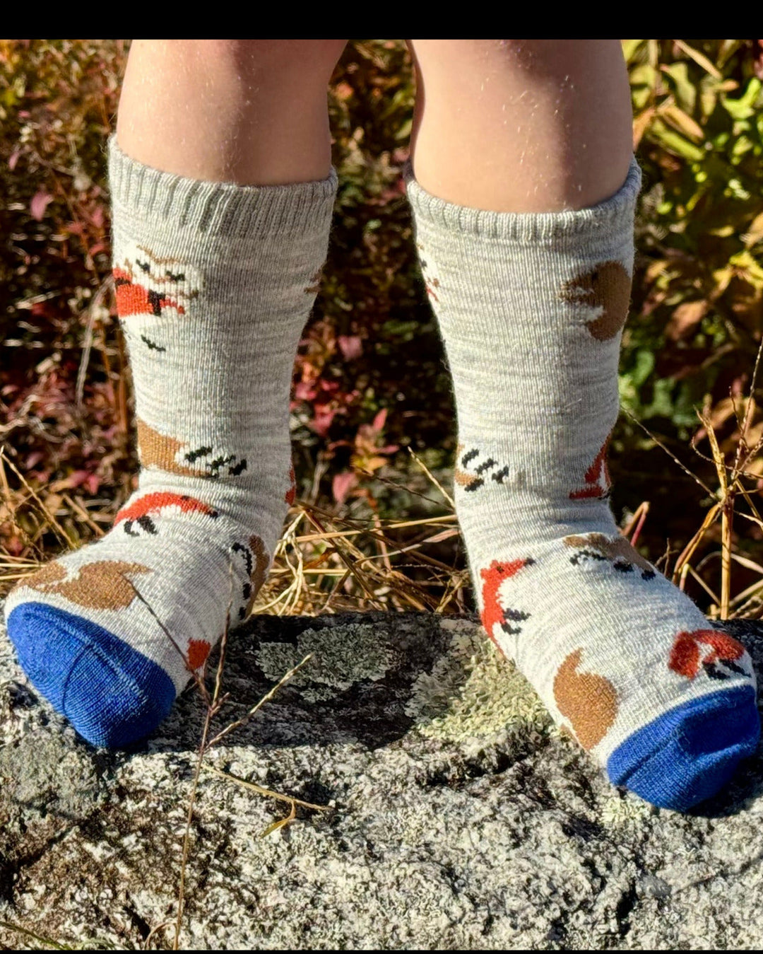 Kid's Wild Socks — fun kids' alpaca socks