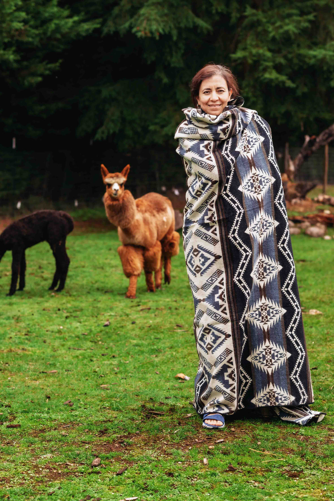 Woman wrapped in the Cuzco Stone Alpaca Wool Blanket with alpacas grazing in the background at Enchanted Farms.