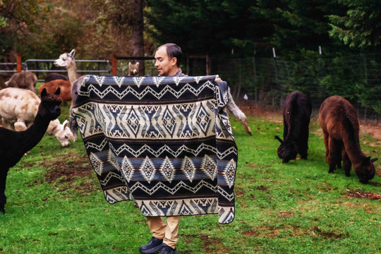 A person standing in an outdoor area with several alpacas in the background. The person is holding a multicolored alpaca wool blanket with a geometric pattern.