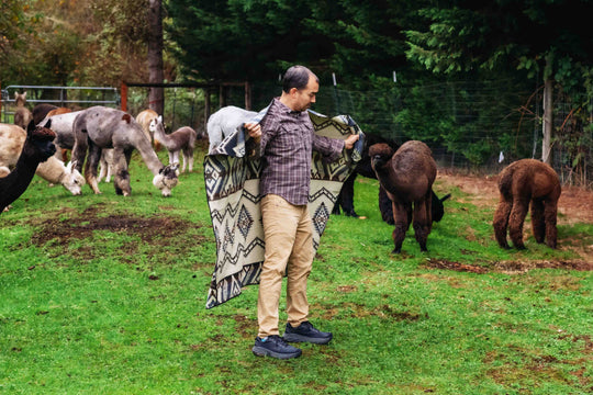 Cuzco Stone - Alpaca Wool Blanket - Enchanted Farms
