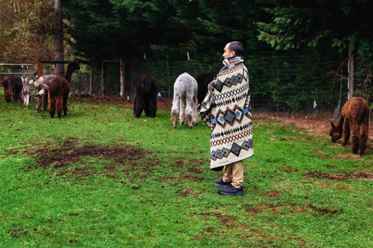 Iquitos - Pebble Creek - Alpaca Wool Blanket - Enchanted Farms