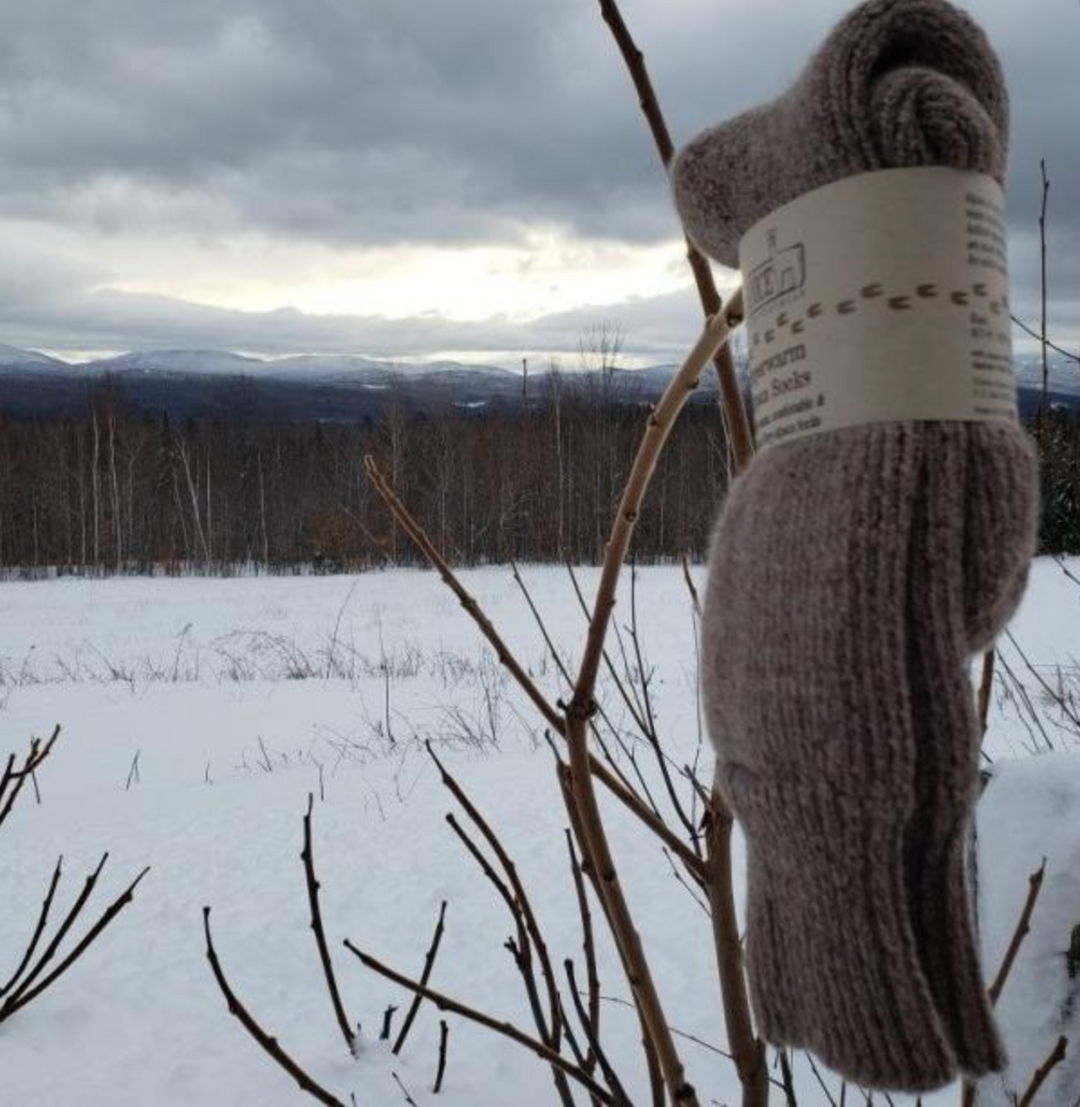 Superwarm Alpaca Socks