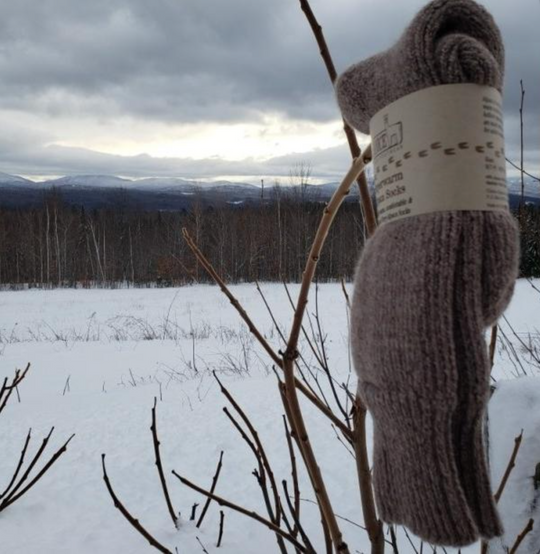 Superwarm Alpaca Socks