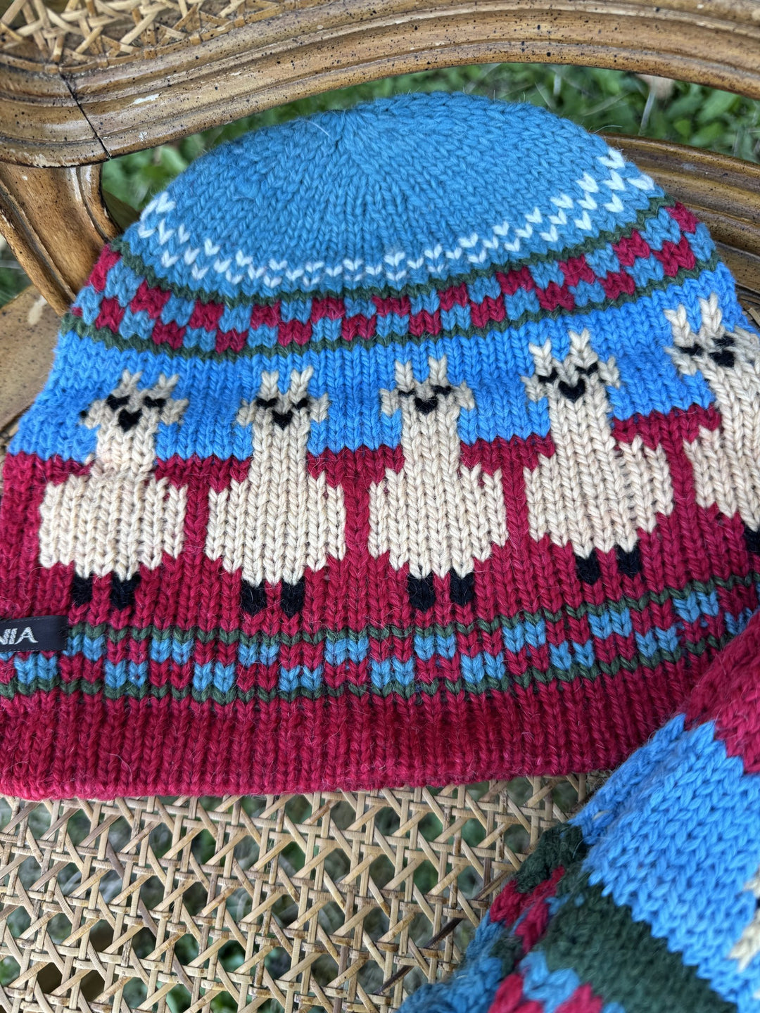Alpaca Parade hat with cream alpacas on a blue band