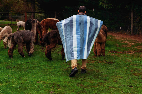 Sky Throw Striped Brushed Alpaca Blanket