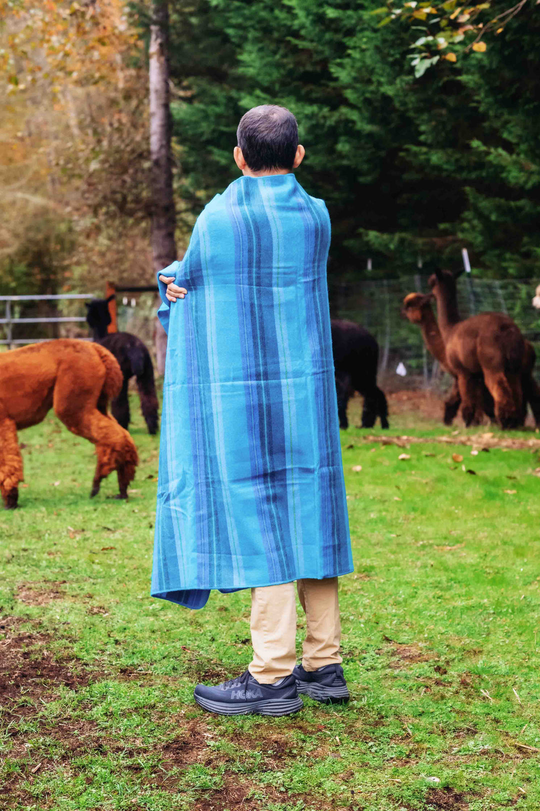 Glacier Lake Throw - Striped - Brushed Alpaca Blanket