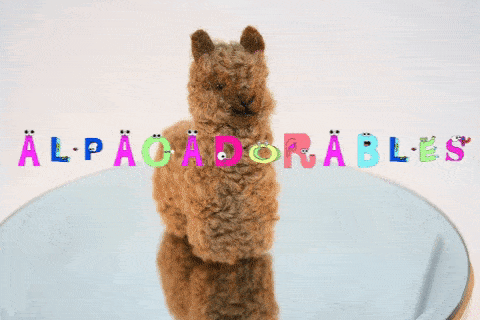 Animated view of the hand-sculpted baby alpaca Alpacadorable ornament