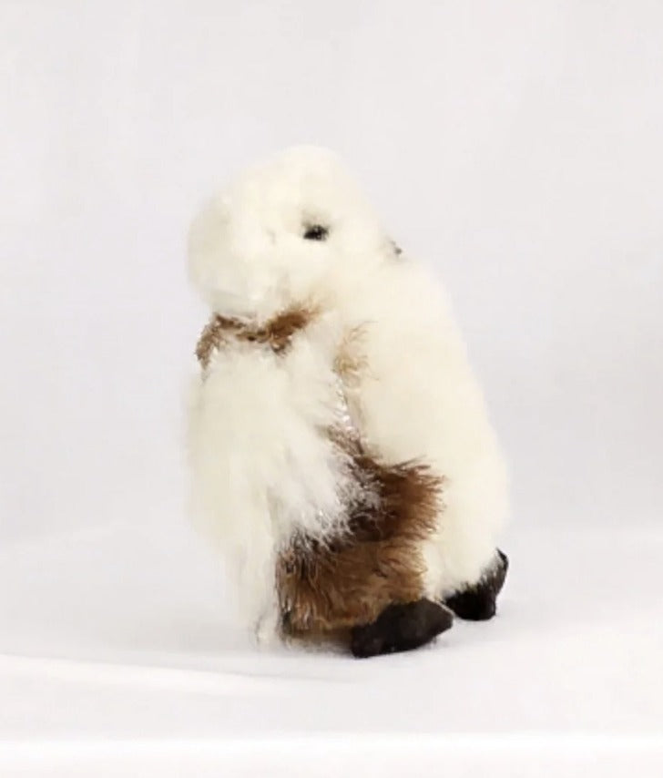Close-up of Hoot the Owl stuffie