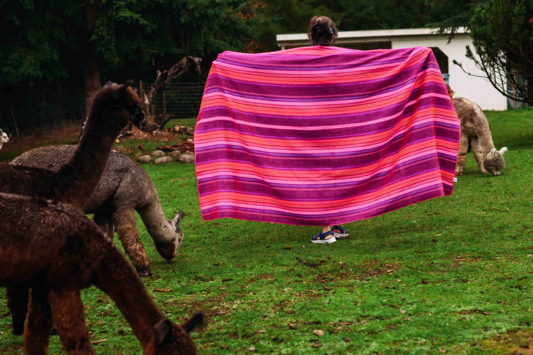 Cotton Candy Blanket - Striped - Brushed Alpaca Blanket