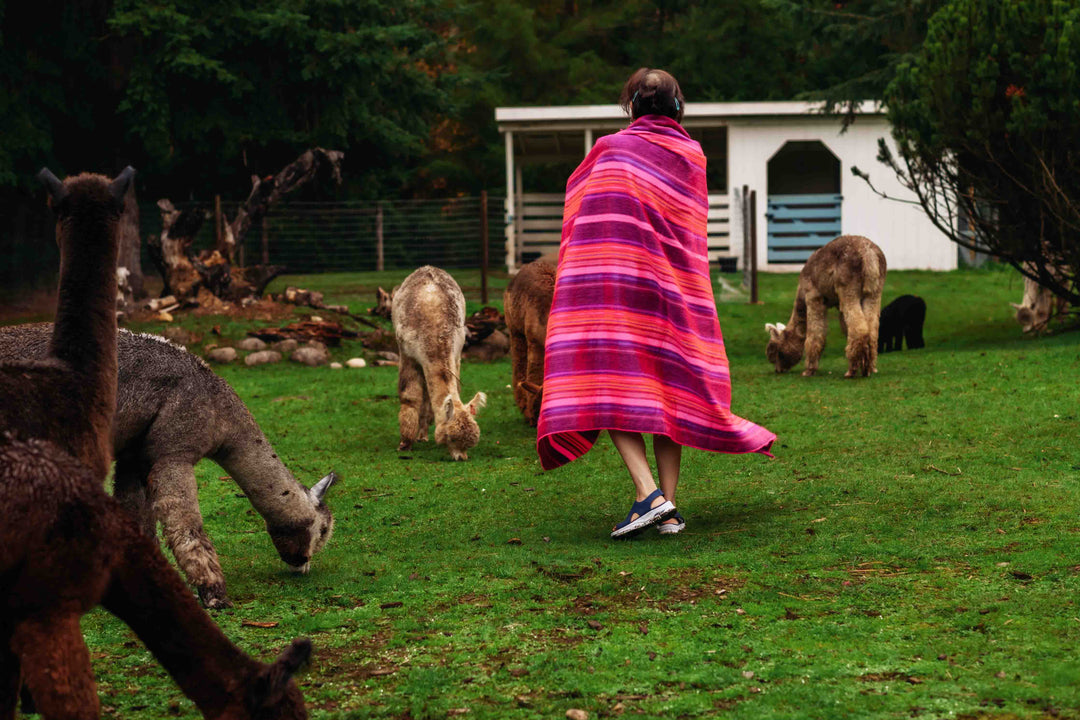 Cotton Candy Blanket - Striped - Brushed Alpaca Blanket