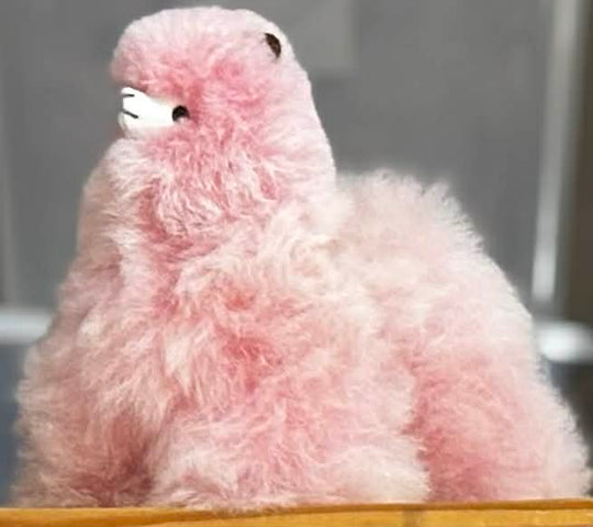 Pink soft plush alpaca with a blurred background
